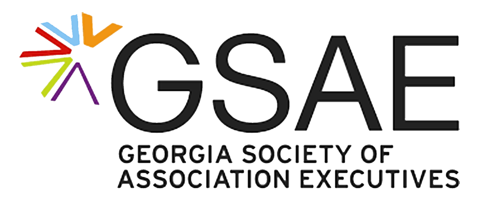 Georgia Society of Association Executives logo